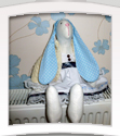 Blue Spot Bunny