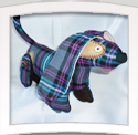 Dixie Dachshund